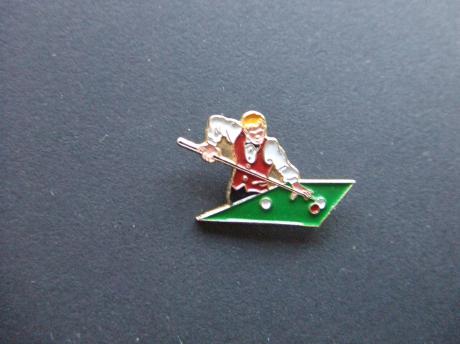 Biljarten ( driebanden ) speler 